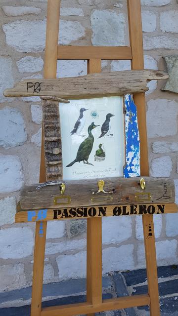 Cadre en bois flotté d'Oléron Accroche clés (gravure Pingouins)